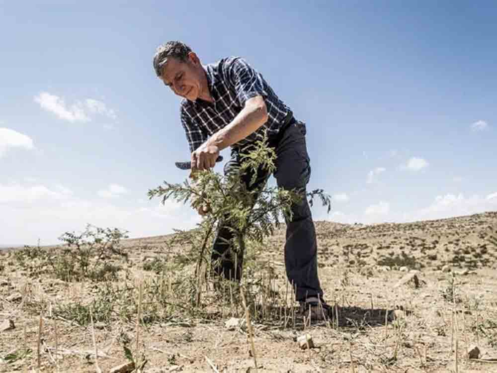 Tony Rinaudo: Schützt unseren Planeten aber hört auf, Bäume zu pflanzen, wo es keinen Sinn macht