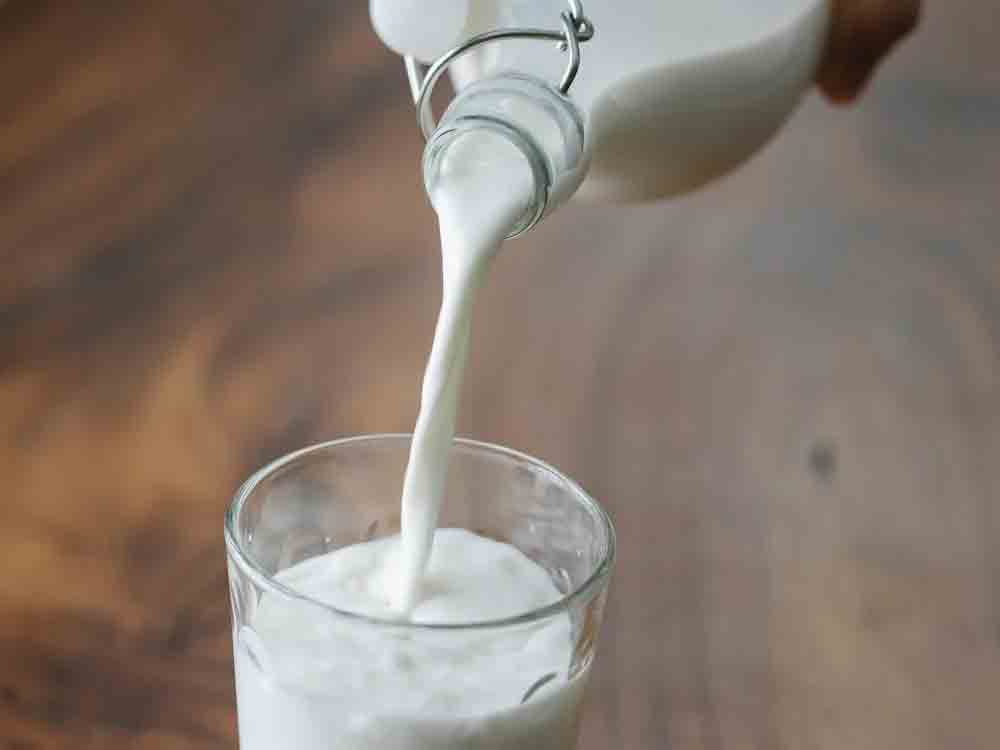 Deutscher Milchsektor benötigt politischen Rückenwind, IG Milch und DBV im Austausch