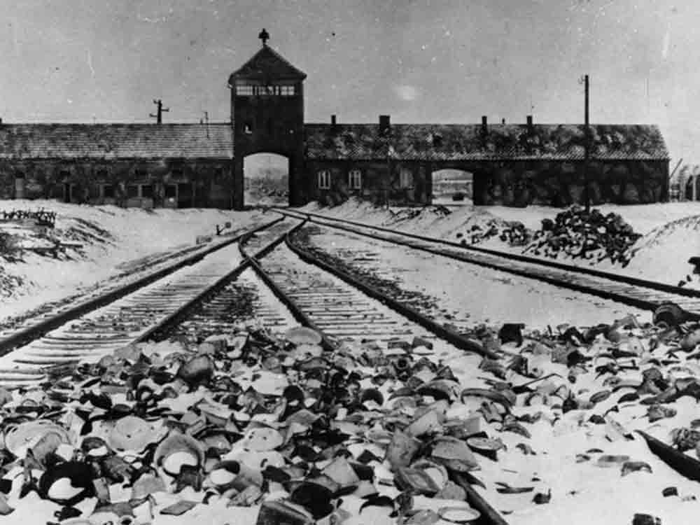Schüßler Salze, »Biochemische« Menschenversuche in den Konzentrationslagern Auschwitz und Dachau