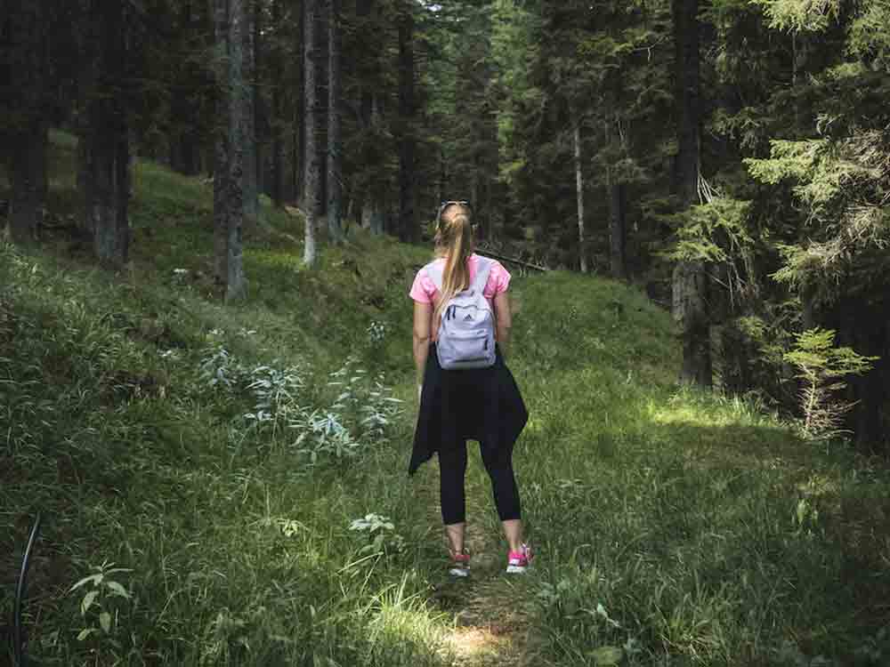 Naturpark Schwalm Nette: Wandern auf der Premiumwanderroute, 18. Dezember 2022