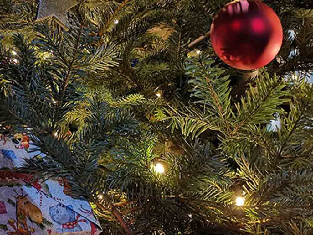 Alles Wichtige zum Weihnachtsbaum, Infos zu nachhaltigen Naturbäumen: Preise, Tipps und Trends für das Fest 2022