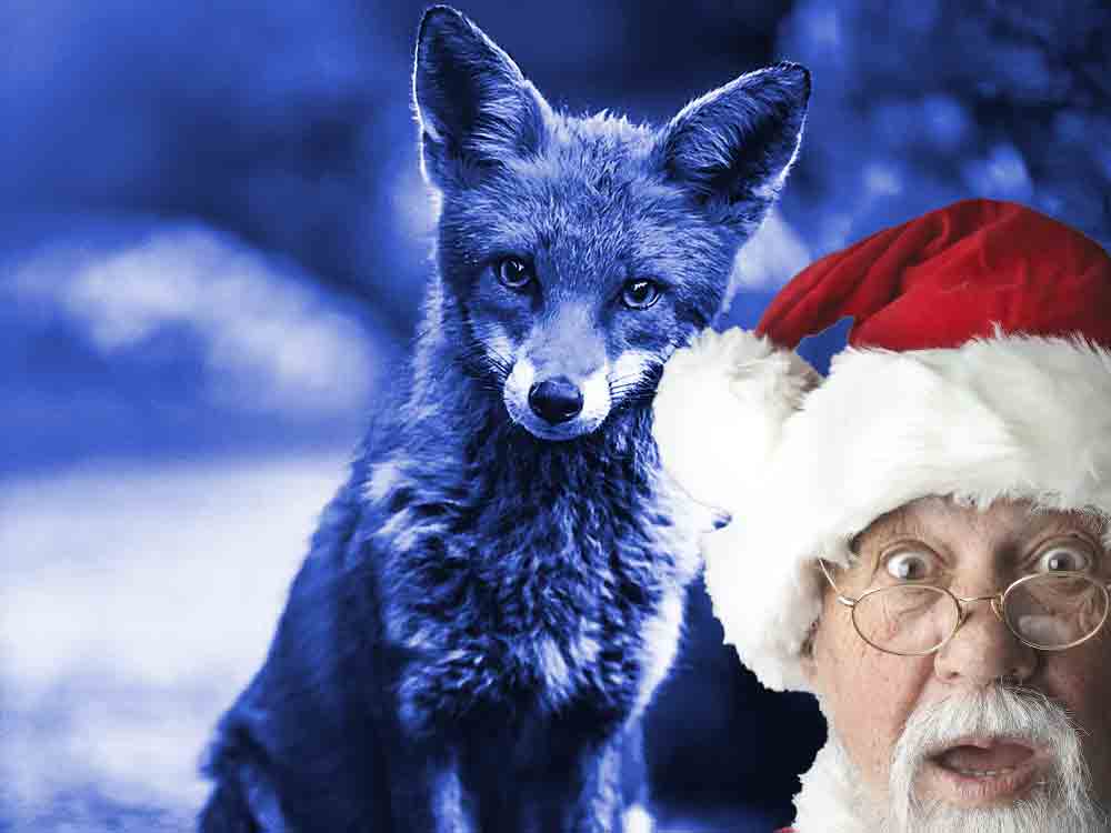 Angesagt in Gütersloh, Blue Fox Weihnachtsmarkt, 16. und 17. Dezember 2022