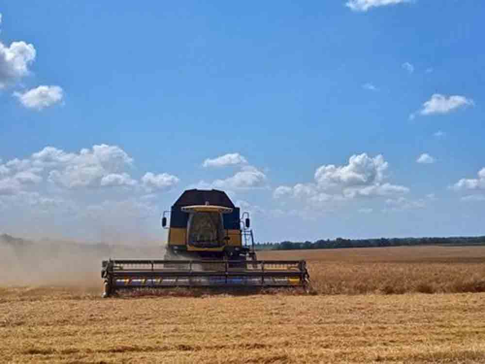 Fehlende Weizenexporte durch Krieg in der Ukraine: Langfristig muss die Weizenproduktion weltweit steigen