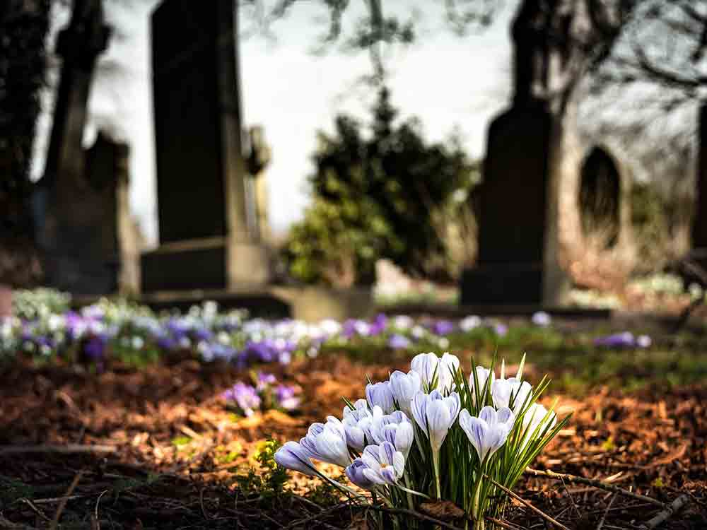 Verein zur Förderung der deutschen Friedhofskultur, News im Dezember 2022
