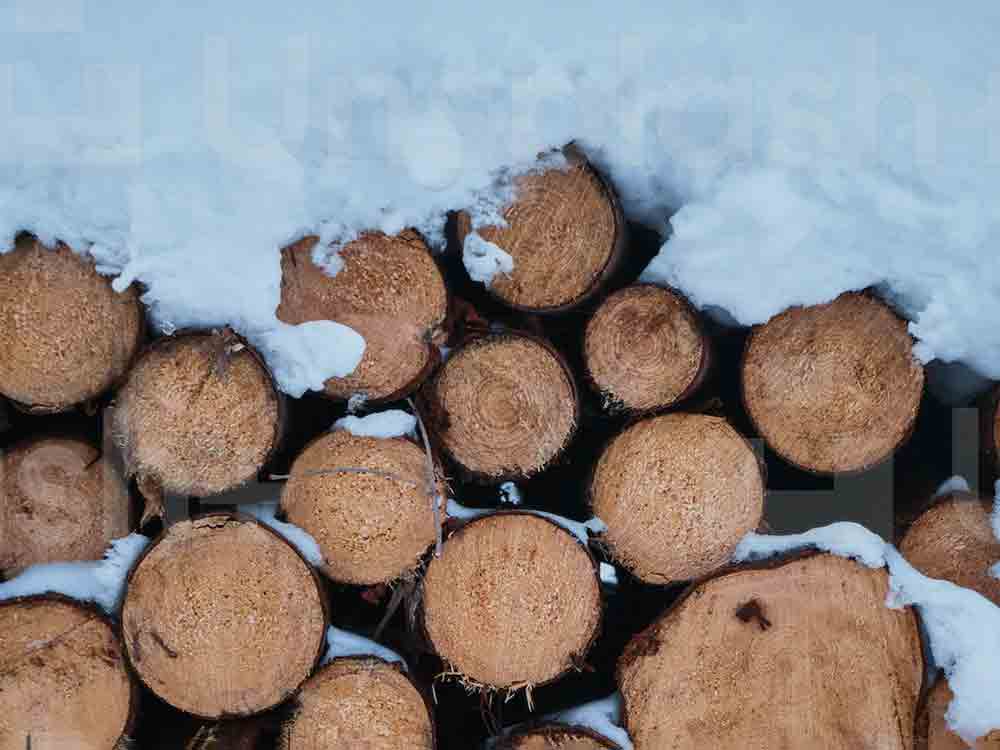 Verbände informieren über moderne Holzwärmetechnik