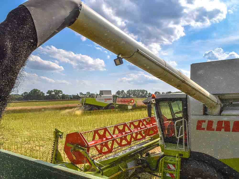 Bauern ziehen Bilanz: Wie sieht die Zukunft der Landwirtschaft aus? Enorme Unsicherheit auf den Höfen