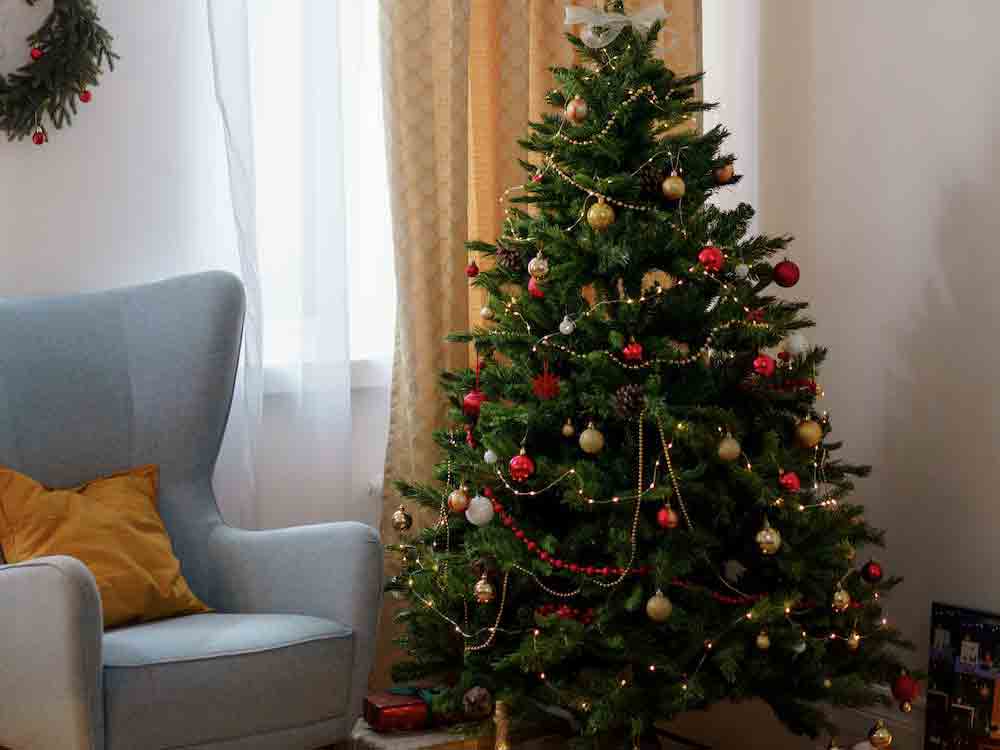 Rietberg, Weihnachtstannen abholen lassen, alle Termine 2022, sinnvolle Entsorgung der ausrangierten Christbäume