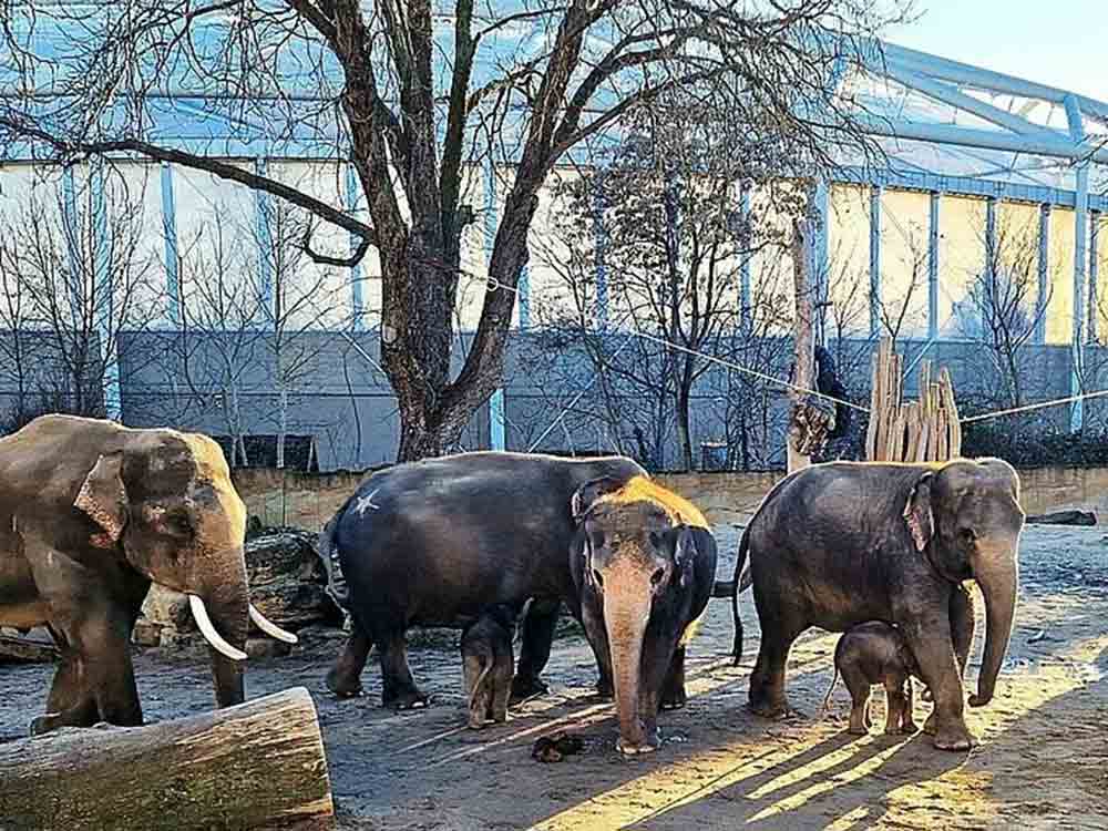 Leipzig, Preise bleiben stabil, Zoo hofft auf großen Besucherzuspruch, Tropenleuchten bis 5. Februar 2023