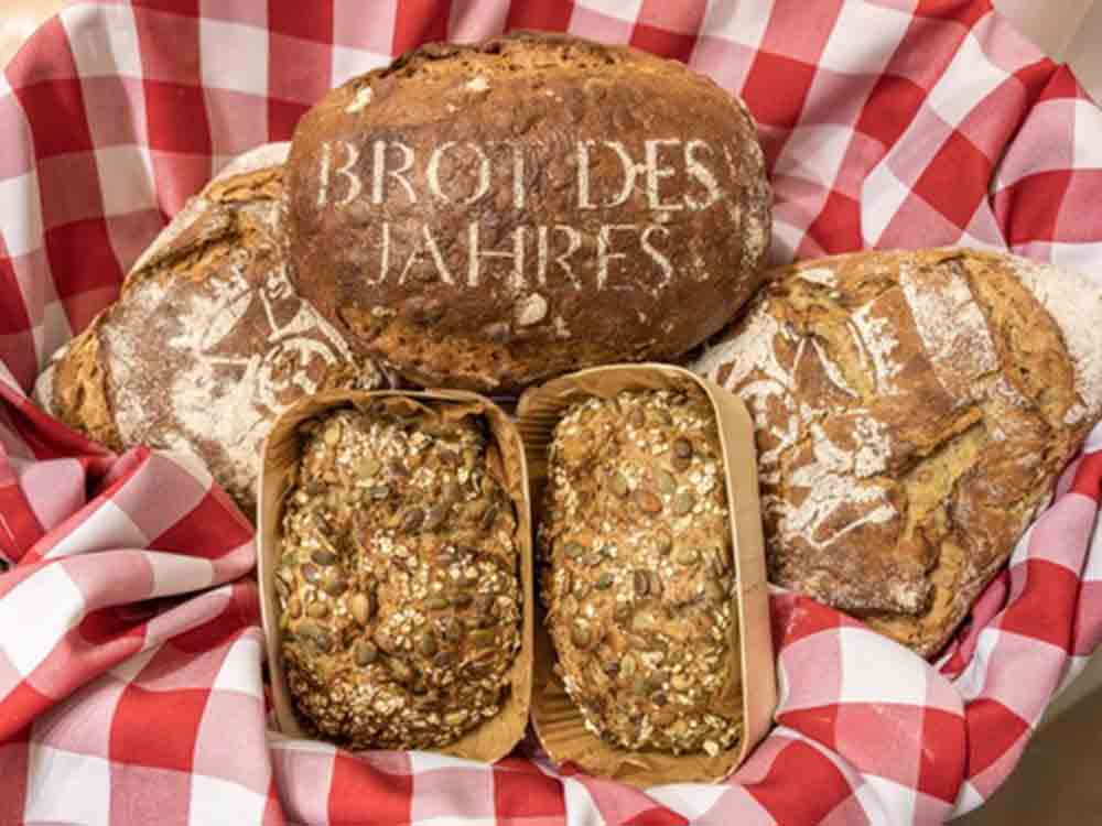 Brot des Jahres 2023: Das Deutsche Brotinstitut ernennt das Kürbiskernbrot
