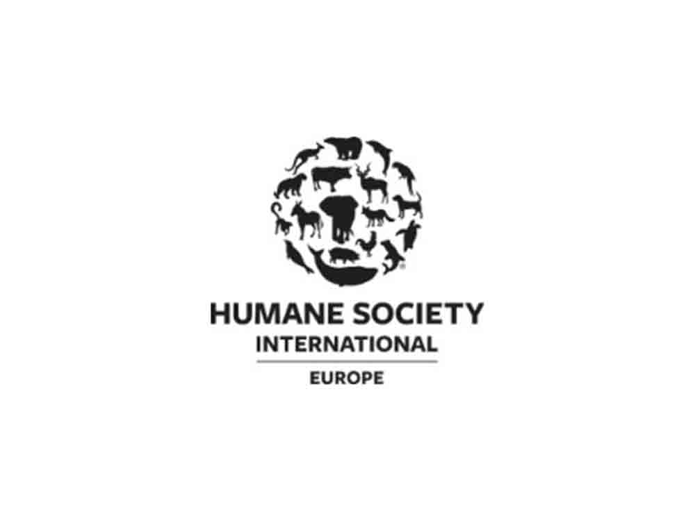 Stellungnahme von HSI Europe zur Frühjahr Sommer Kollektion 2023 von Schiaparelli auf der Pariser Couture Show