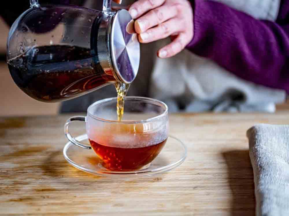 Tee Tipps: Was man über den Seelenwärmer wissen sollte, ob zum Aufwärmen, Genießen oder Gesundwerden: Gerade in der kalten Jahreszeit tut Tee einfach gut