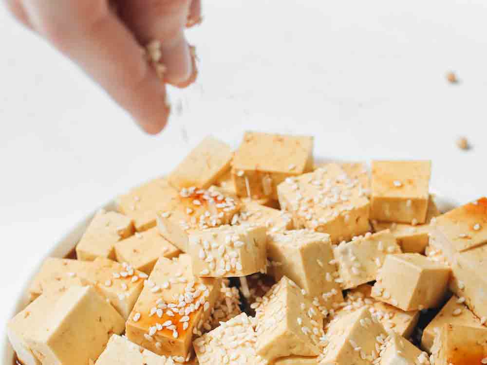 Der Pömpel, Neues aus der Gütersloh Satire Redaktion: EU Behörden Wahn, Veganer Tofu darf nicht Tofu heißen