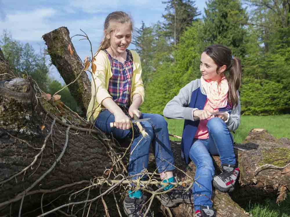 Spaß im Wald für Kinder und Enkel, 6 Tipps für spannende und lehrreiche Walderlebnisse für Groß und Klein