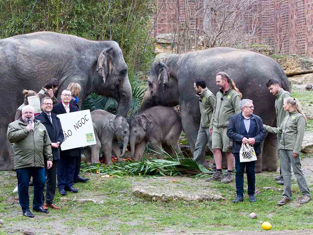 Zoo Leipzig, Thuzas Tochter ist ein kostbarer Juwel Vietnamesischer Botschafter verleiht bedeutungsvollen Namen