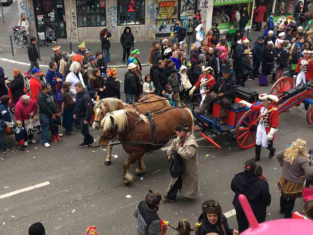 Deutscher Tierschutzbund zu Pferden in Karnevalsumzügen: Strengere Vorgaben reichen nicht
