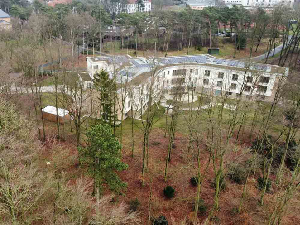Kranke Bäume im Park des sogenannten LWL Klinikums Gütersloh müssen weichen, Ersatzpflanzungen sichern Zukunft des Parks