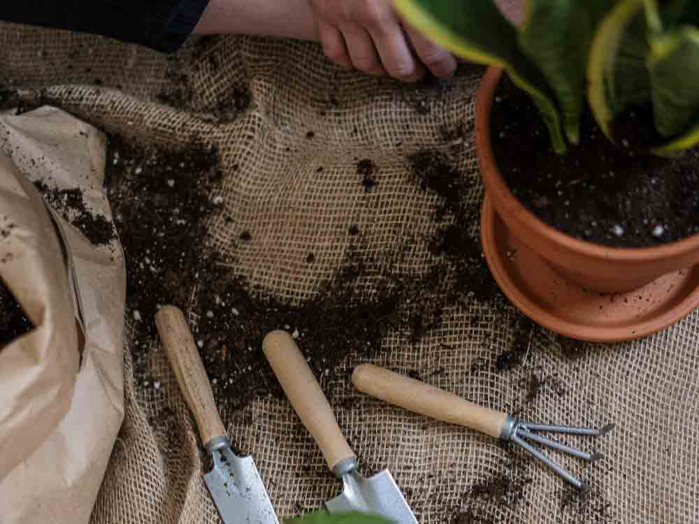 Gartenarbeit ohne Unfall, Neue Rubrik auf der Webseite der Aktion Das sichere Haus (DSH), sicher im Garten arbeiten