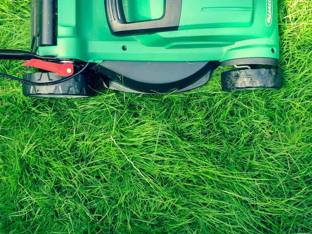 Gütsel Lesertelefon, Servicethema Garten: Mehr Moos als Gras? Wie man dem Rasen jetzt auf die Sprünge hilft und ihn fit für den Sommer macht, 23. März 2023