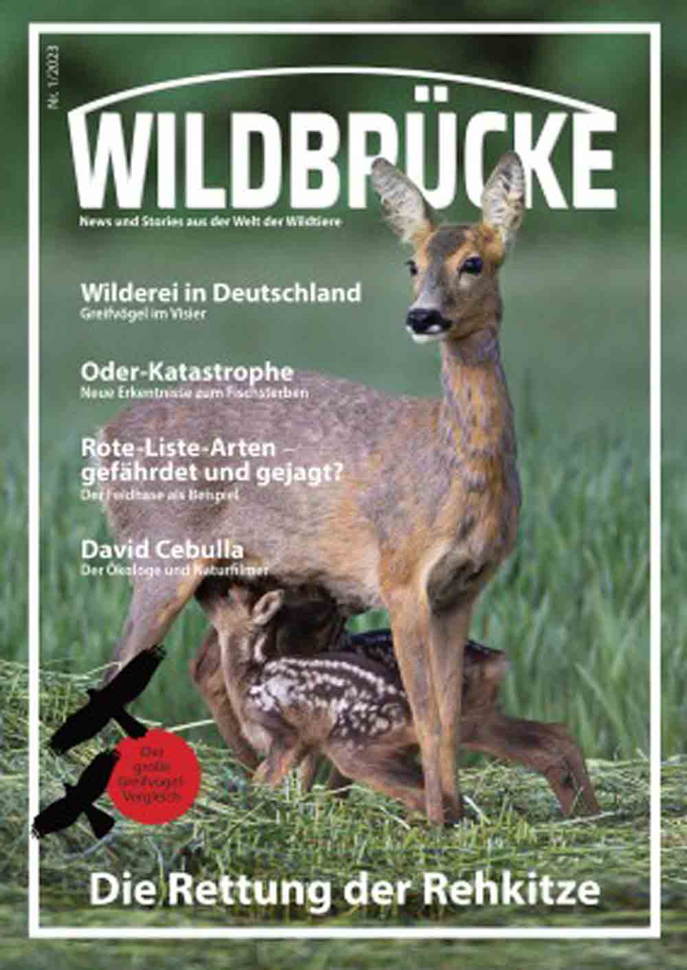 Wildbrücke – neues Online Magazin schlägt Brücke zwischen Menschen und Wildtieren
