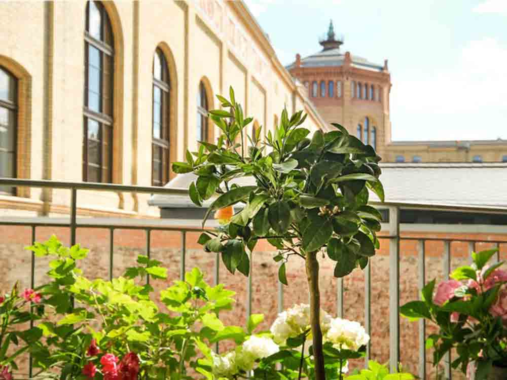Obstbäume im Kübel: So klappt es mit der eigenen Ernte auf Balkon und Terrasse, Industrieverband Agrar (IVA)