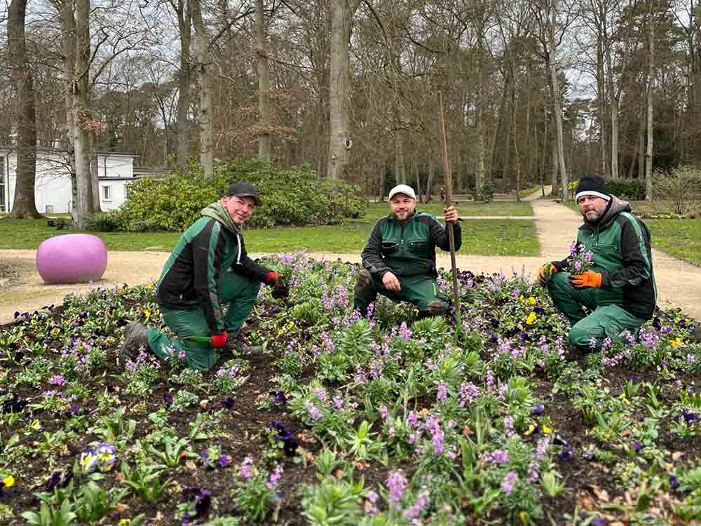 Bunter Blütenteppich für die Gartenschau Bad Lippspringe, Gärtner pflanzen etwa 90.000 Frühjahrsblumen in der 30 Hektar großen Parkanlage
