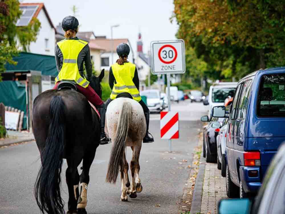Pferde im Straßenverkehr, ADAC gibt Tipps zur Sicherheit von Tier und Reiter