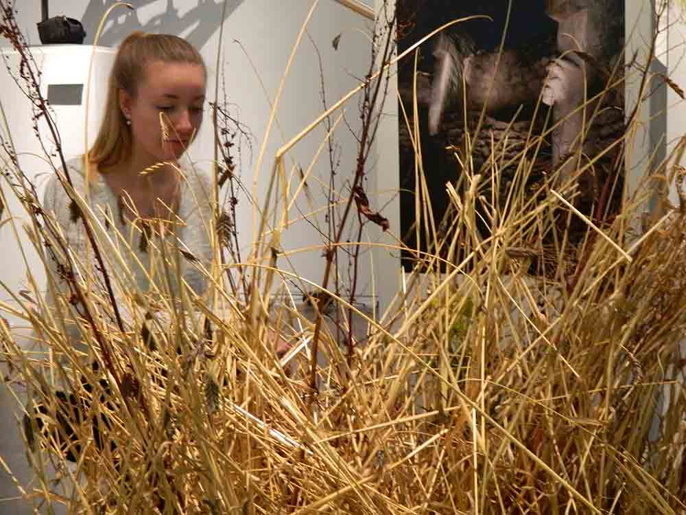 Als Jäger und Sammler sesshaft wurden, Lippischen Landesmuseum Detmold