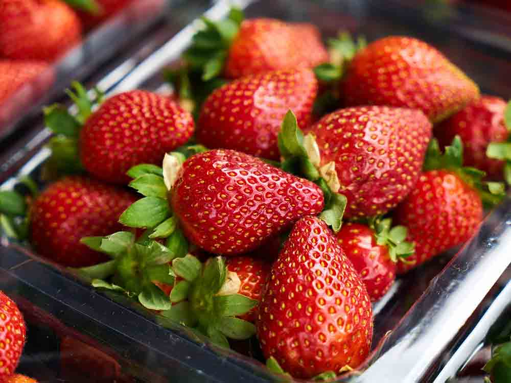 Öko Test, Erdbeeren im Test: Pestizidcocktail mit schlechter Klimabilanz