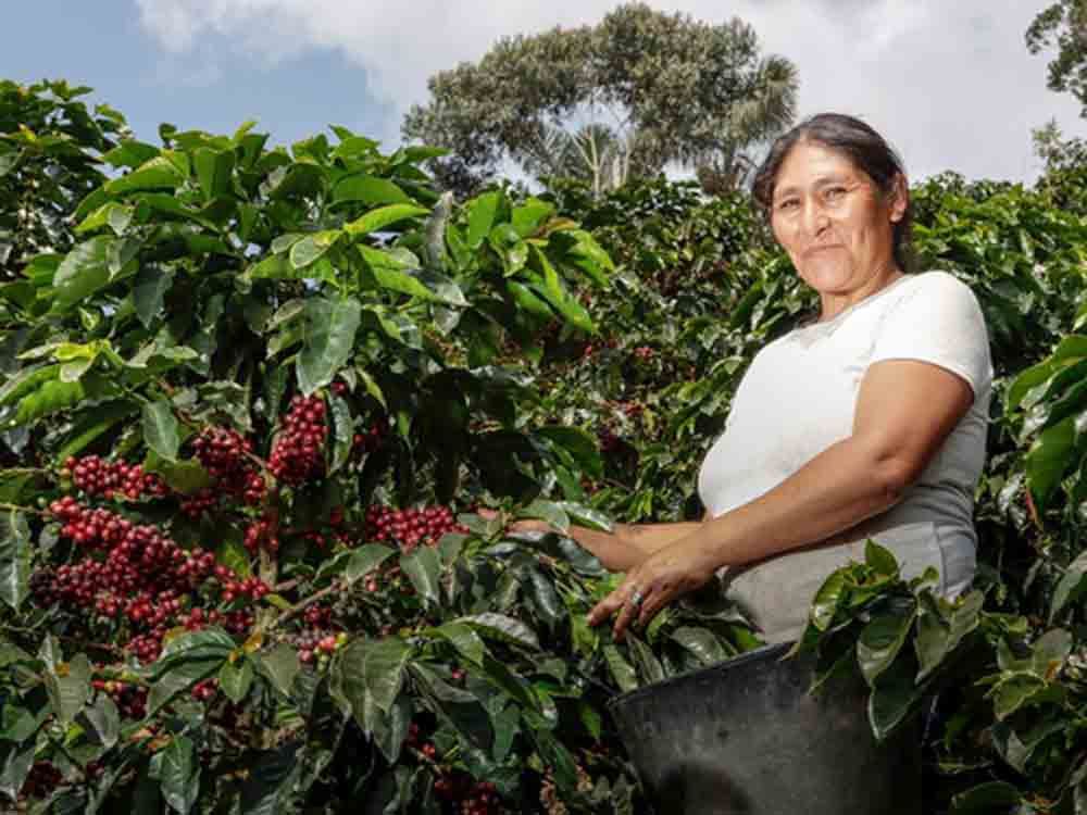 Fairtrade wächst trotz turbulenter Zeiten, Jahresbericht 2022/2023 von Fairtrade Deutschland