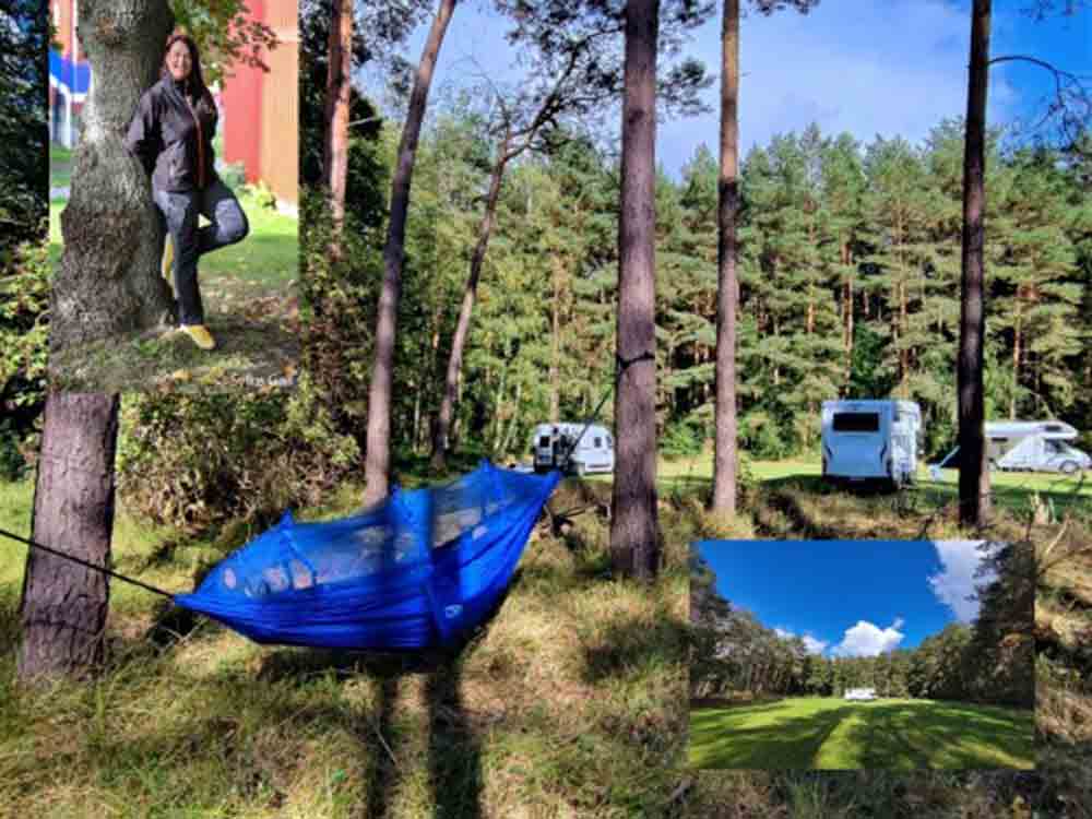 »Waldauszeit mit Camper« und der Entschleunigungs Gastgeberin Petra Lupp