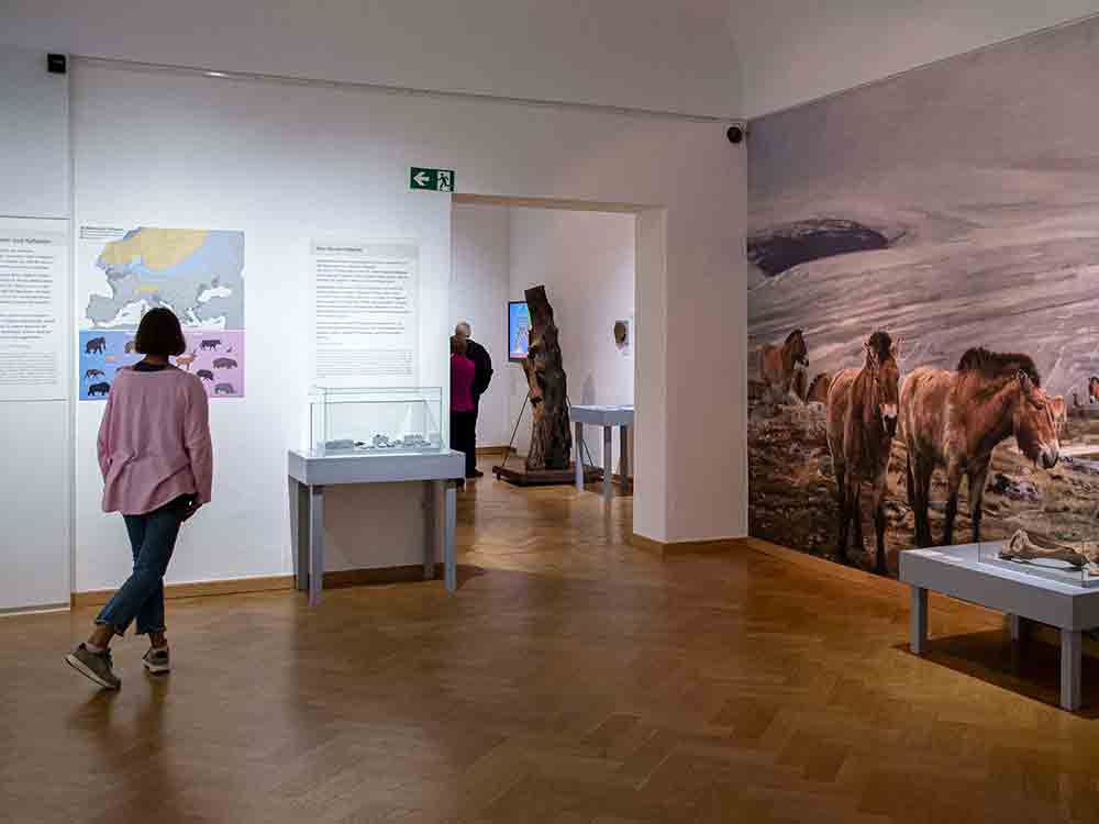 Harte Zeiten: Das Leben in der Steinzeit! Mitmachführung mit Speerwerfen, am 18. Juni 2023 im Lippischen Landesmuseum Detmold