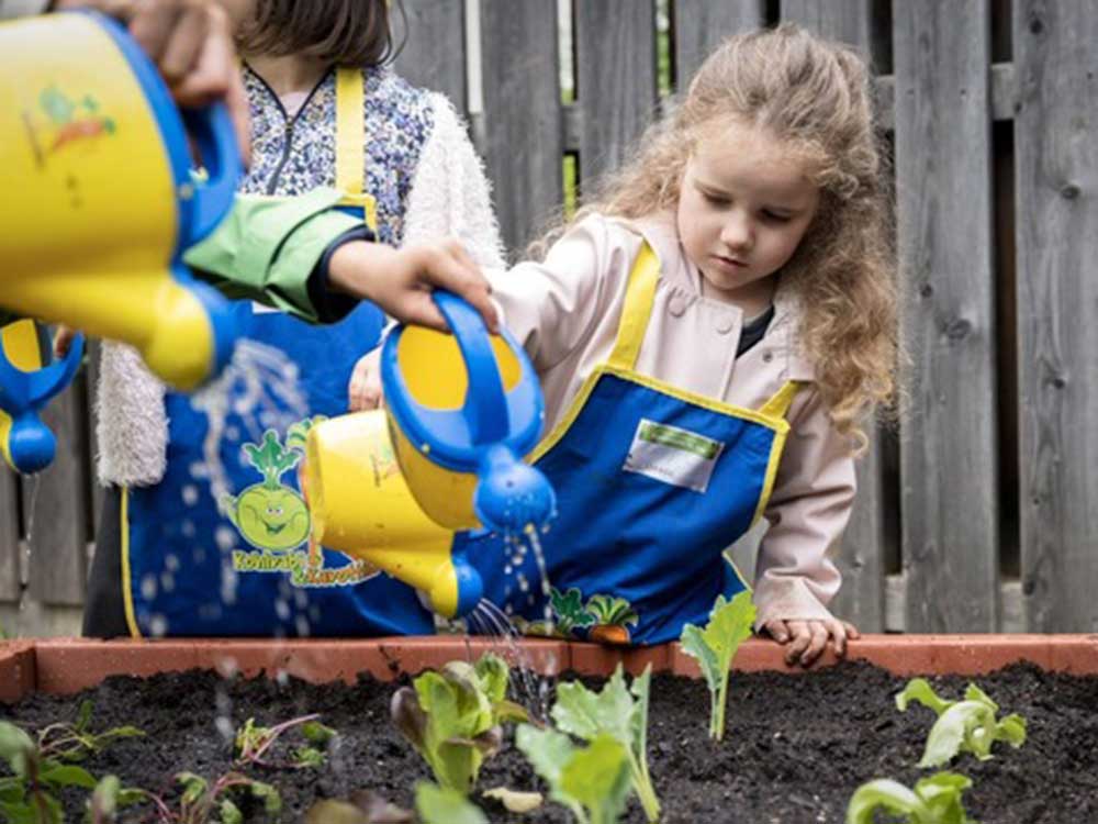 Gemüsebeete für Kids: knackfrisches Gemüsewissen zum Tag des Gartens 2023