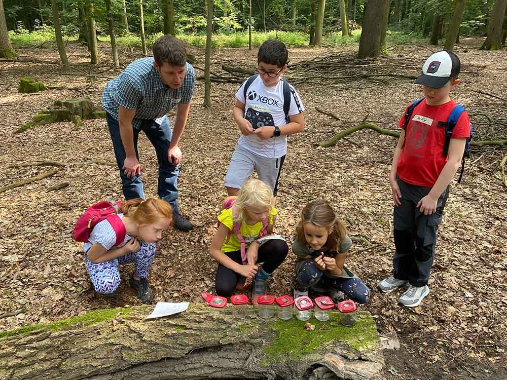 Rheda Wiedenbrück, Ferienspiele: im Wald mit der Umweltberatung, 22. Juni 2023