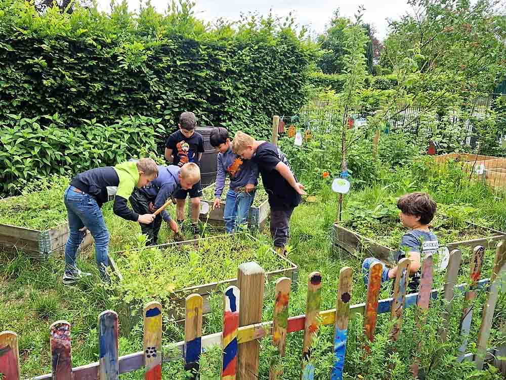 Gütersloh, Naturprojekte fördern, Schulgarten der Josefschule wächst