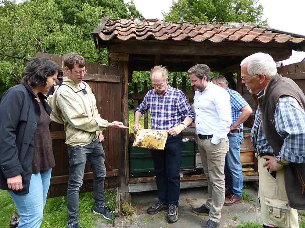Imkerverein in Herzebrock Clarholz, Bürgermeister ist fasziniert von Honigbienen