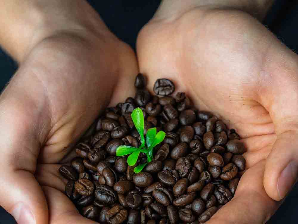 Wernigerode ist weiterhin »Fairtrade Stadt«