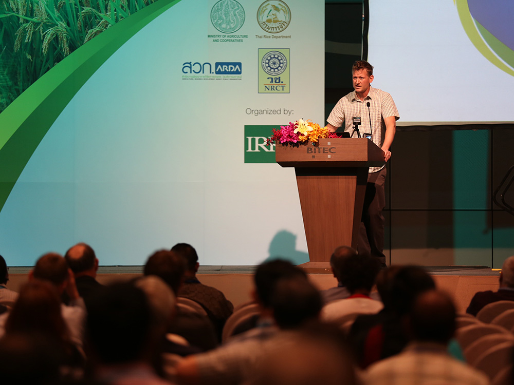 DLG erweitert Kooperation mit International Rice Research Institute (IRRI)
