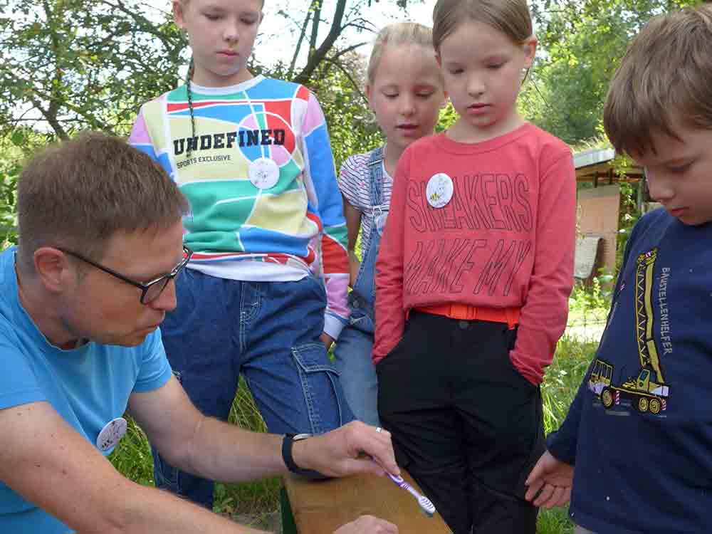 Gütersloh, Ferienspiele: »Wir tun was für Wildbienen«