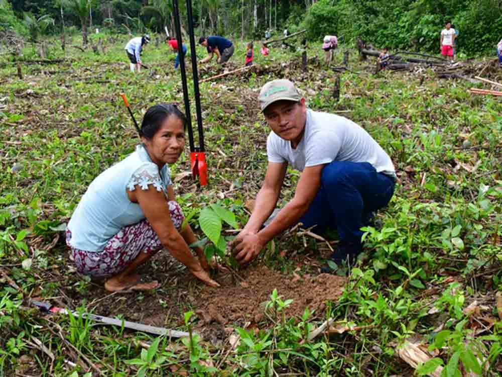 Caritas: Menschenrechte indigener Gemeinschaften stärken, Regenwald schützen