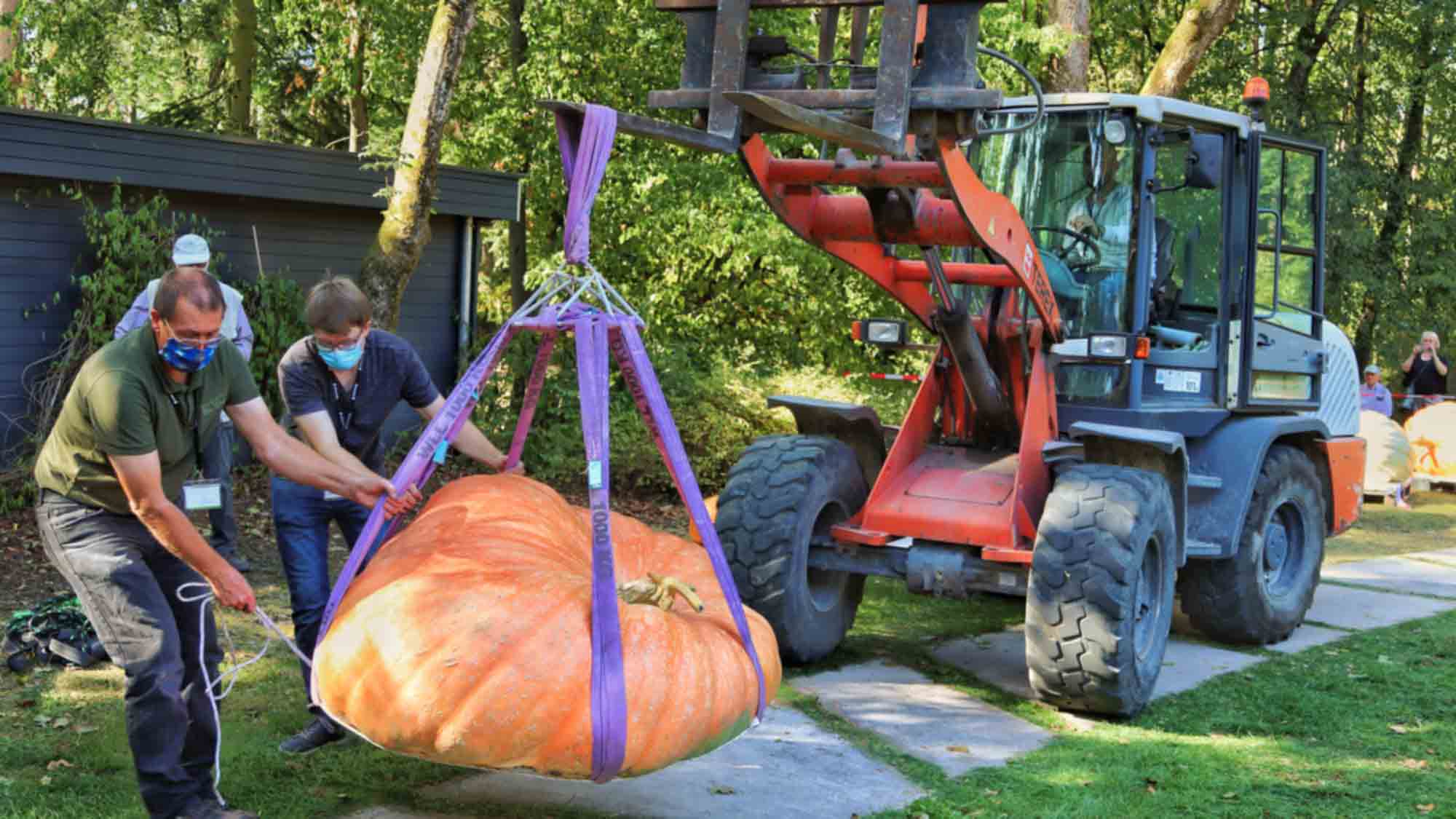 Bad Lippspringe: Wiegemeisterschaft der Riesenkürbisse in der Gartenschau, unterhaltsamer Event für die ganze Familie am, 17. September 2023