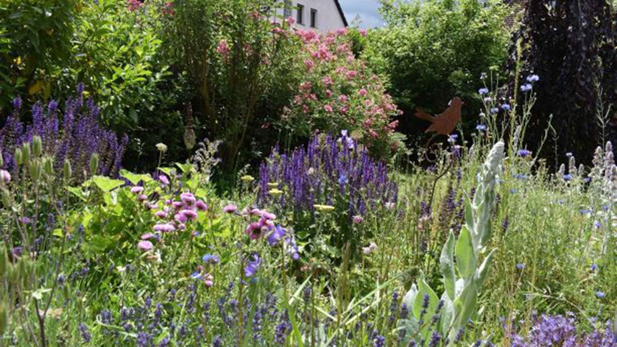 Oelde, Vorgartenwettbewerb geht in die Verlängerung, naturnaher Garten statt Schotterpiste