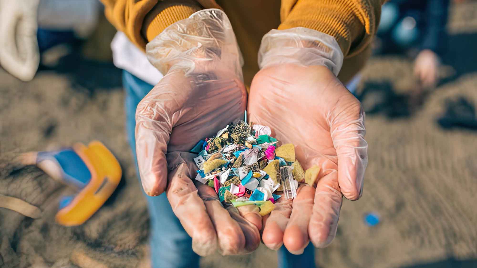 Verbot von Mikroplastik: EU zu zaghaft