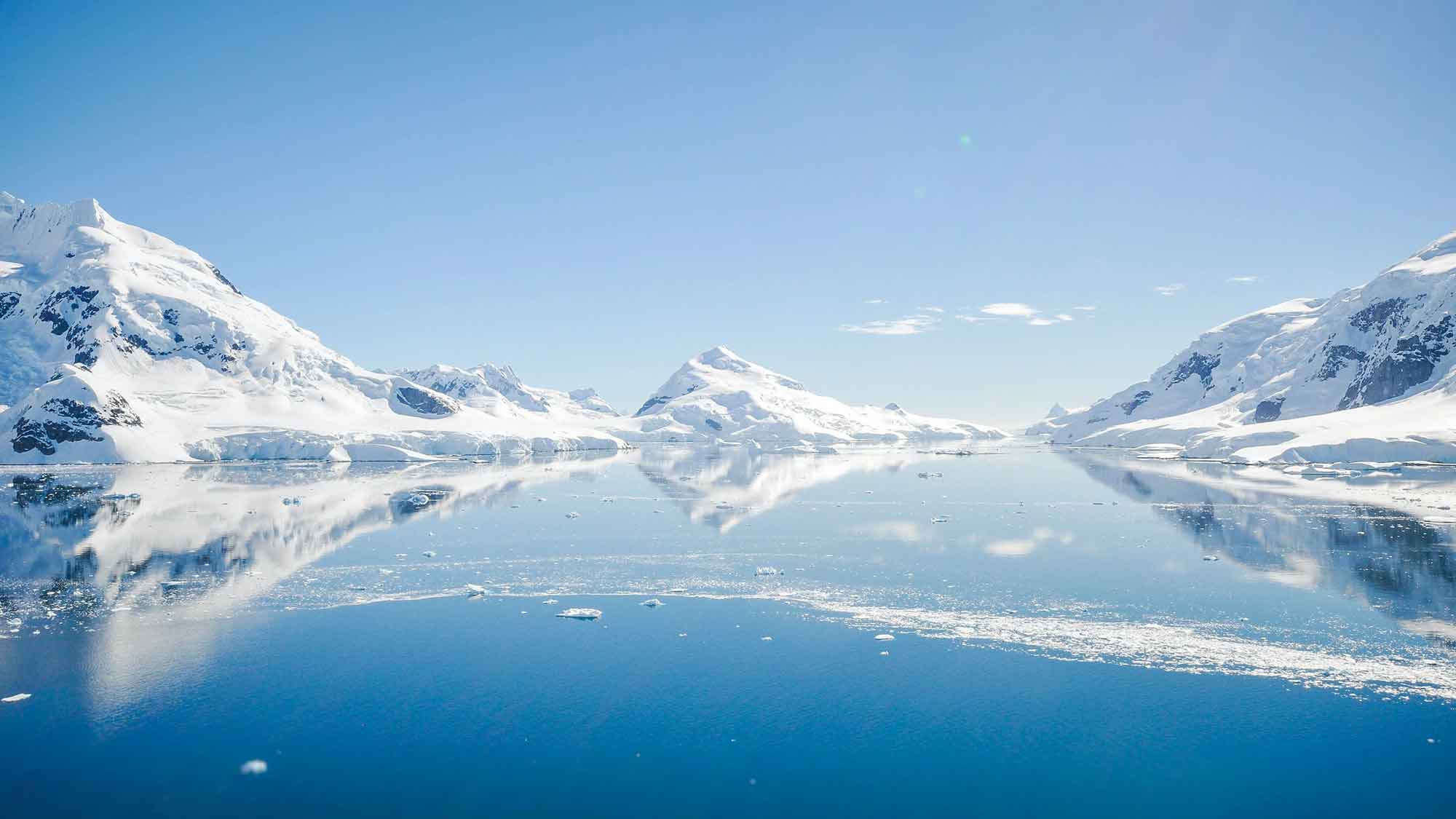 Vogelgrippe in der Antarktis angekommen: Deutsche Umwelthilfe fordert schnellstmöglich Schutzgebiete
