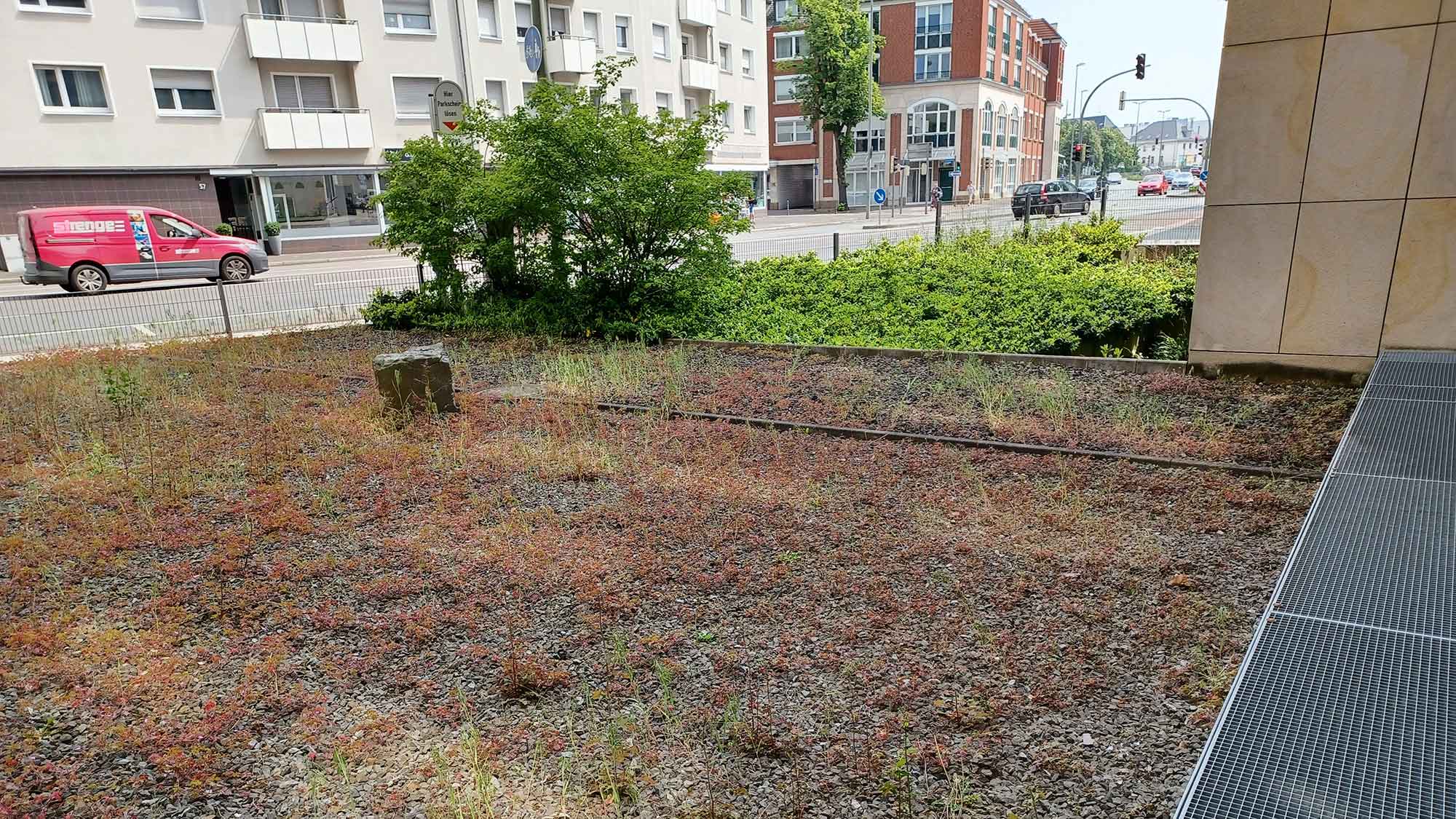 Güterslohs schönste Schottergärten: Neue Vorgartensatzung – Rathaus geht mit gutem Beispiel voran