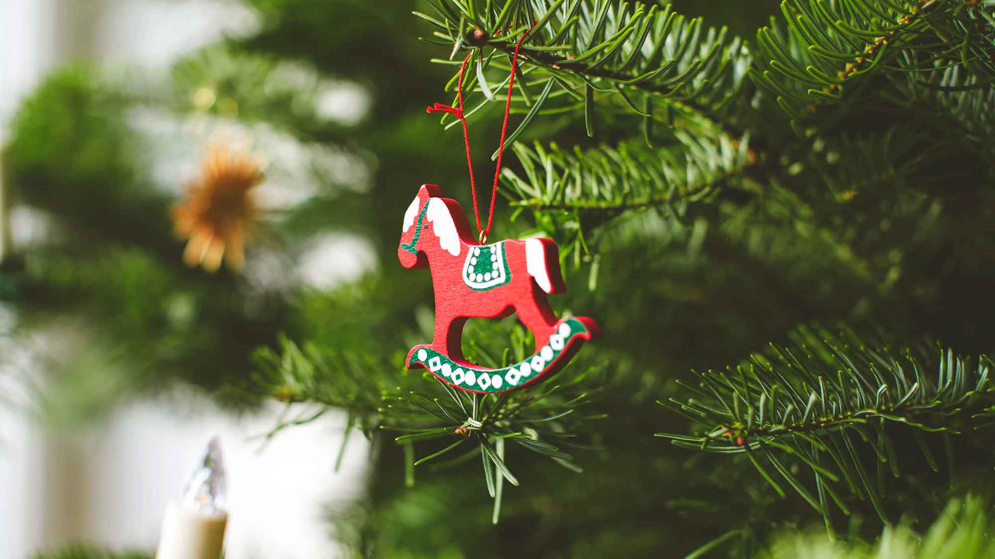 TÜV Verband: O Plastikbaum – Tipps für eine nachhaltige Weihnachtszeit