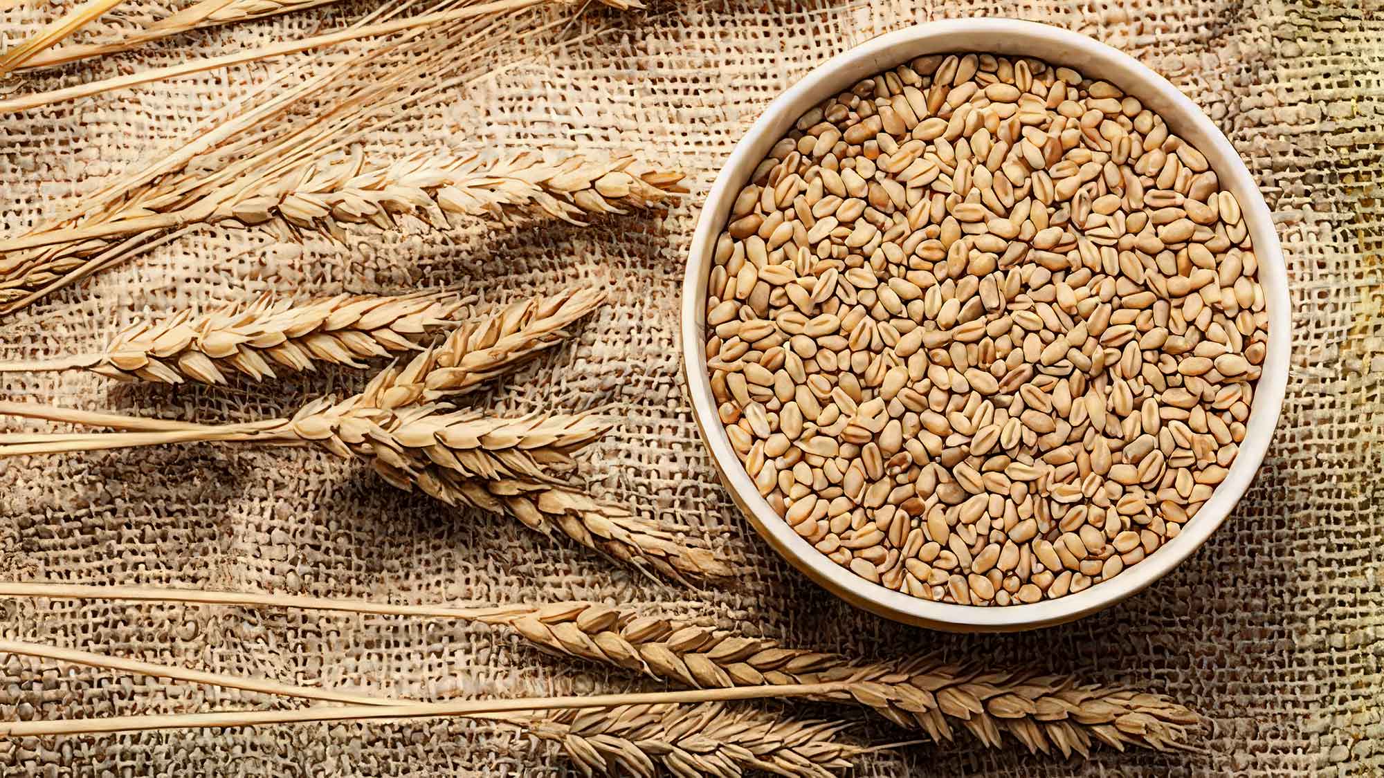 Nahrung für die Nervenbahnen: Verschlechtert Weizen die MS Symptome?