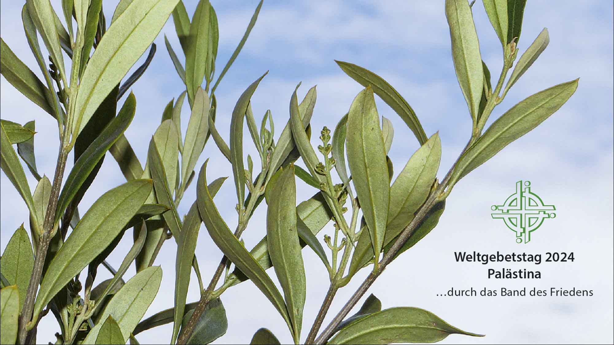 Olivenholzschalen aus Palästina als Produkt des Monats Februar 2024 im Weltladen Gütersloh