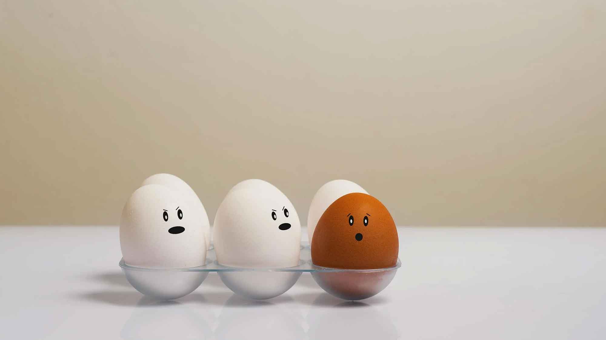 »Öko Test«: Eier im Test – gute Qualität, mangelndes Tierwohl