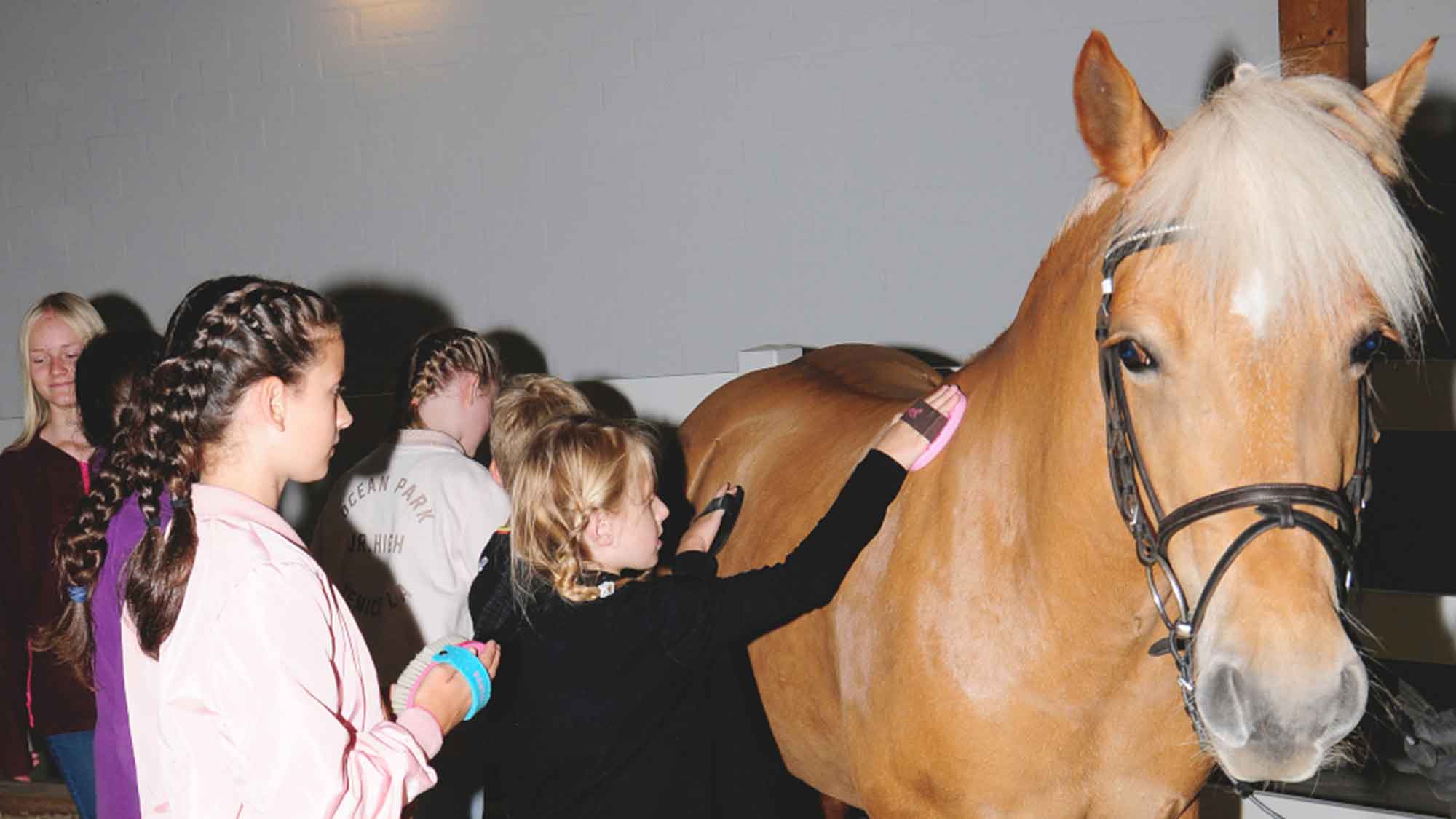 Gütersloh Pferde News: »Ran ans Pferd!« – beliebte Kinder Aktion im Westfälischen Pferdemuseum ist zurück, 27. April 2024
